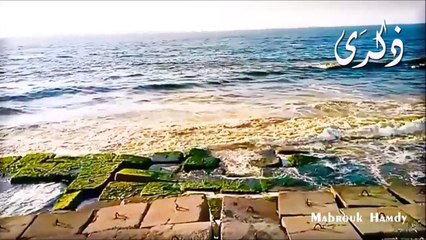 شط اسكندرية اغسطس 2013