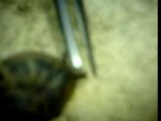 Quand deux nana boivent un peux trop^^