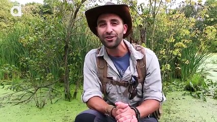 Breaking Trail Season 2 Sneak Peek!