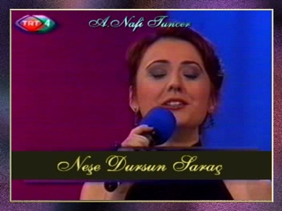 Neşe DURSUN SARAÇ - Seni Ne Çok Sevdiğimi Söylesem De Bilemezsin