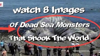 watch 8 images of dead sea monsters that shook the world