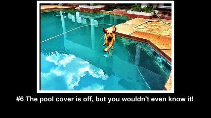 These 20 Crazy Photos Had A One In A Million Chance Of Happening And They Did!