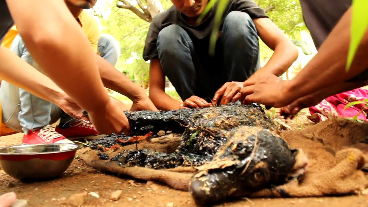 Des bénévoles croisent un chien totalement couvert de goudron chaud, ce qu'ils font est touchant !