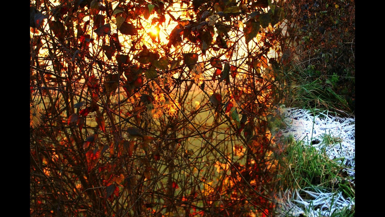 Coucher de Soleil  Canal du Nord  Picardie  Somme.