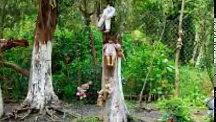 top 10 most haunted places around the world