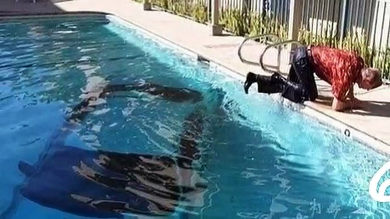 watch 10 WTF Accidents Pics