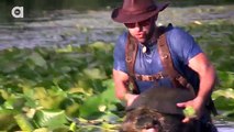 Common Snapping Turtle - Behind the Adventure