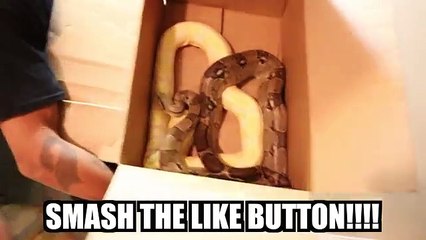 SNAKE PRANK ON GIRLFRIEND!!