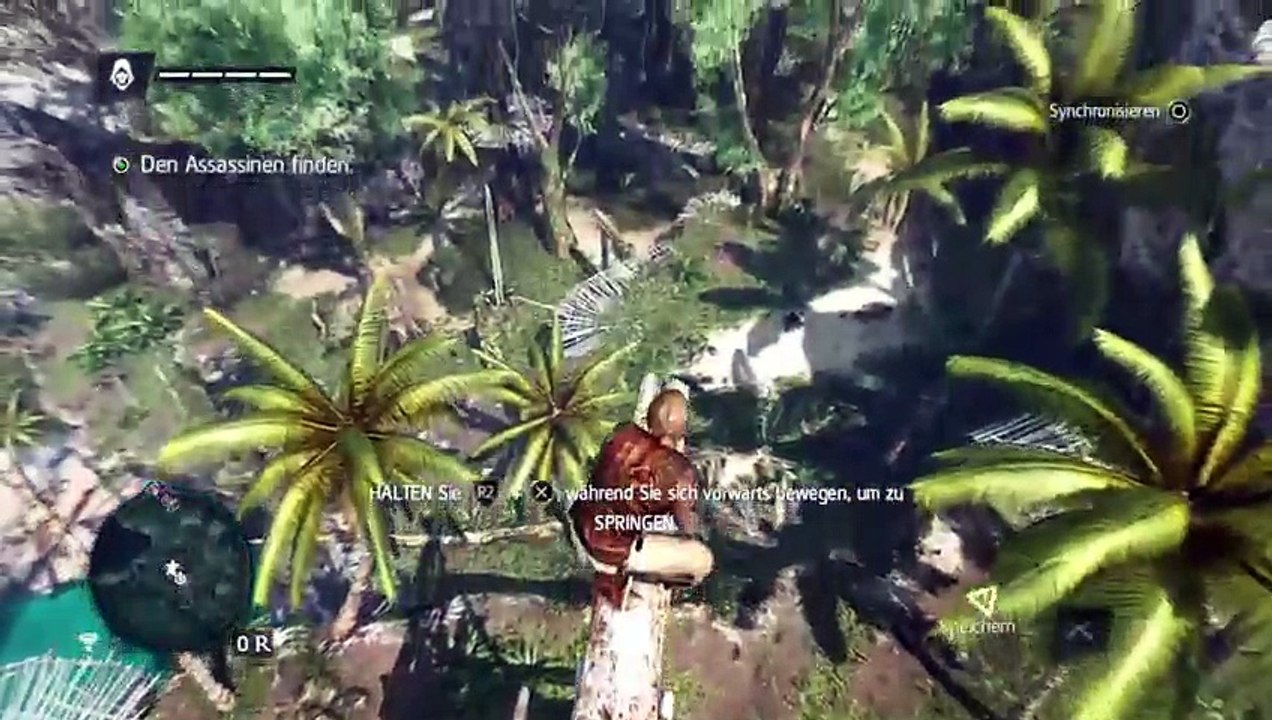 DonAleszandro's AC Black Flag Kanal : ««-Thiefs Assassin-»» (498)