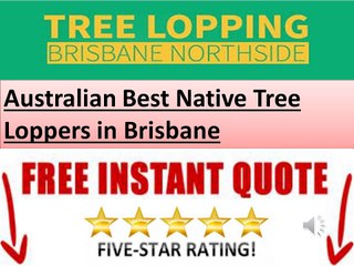 Australian best tree loppers in brisbane