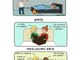 10 illustrations qui vous montrent les différences entre un ami et un meilleur ami !