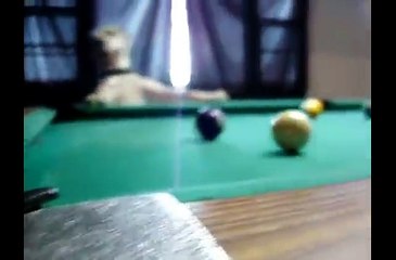 Nothing special, just a dog playing pool lol