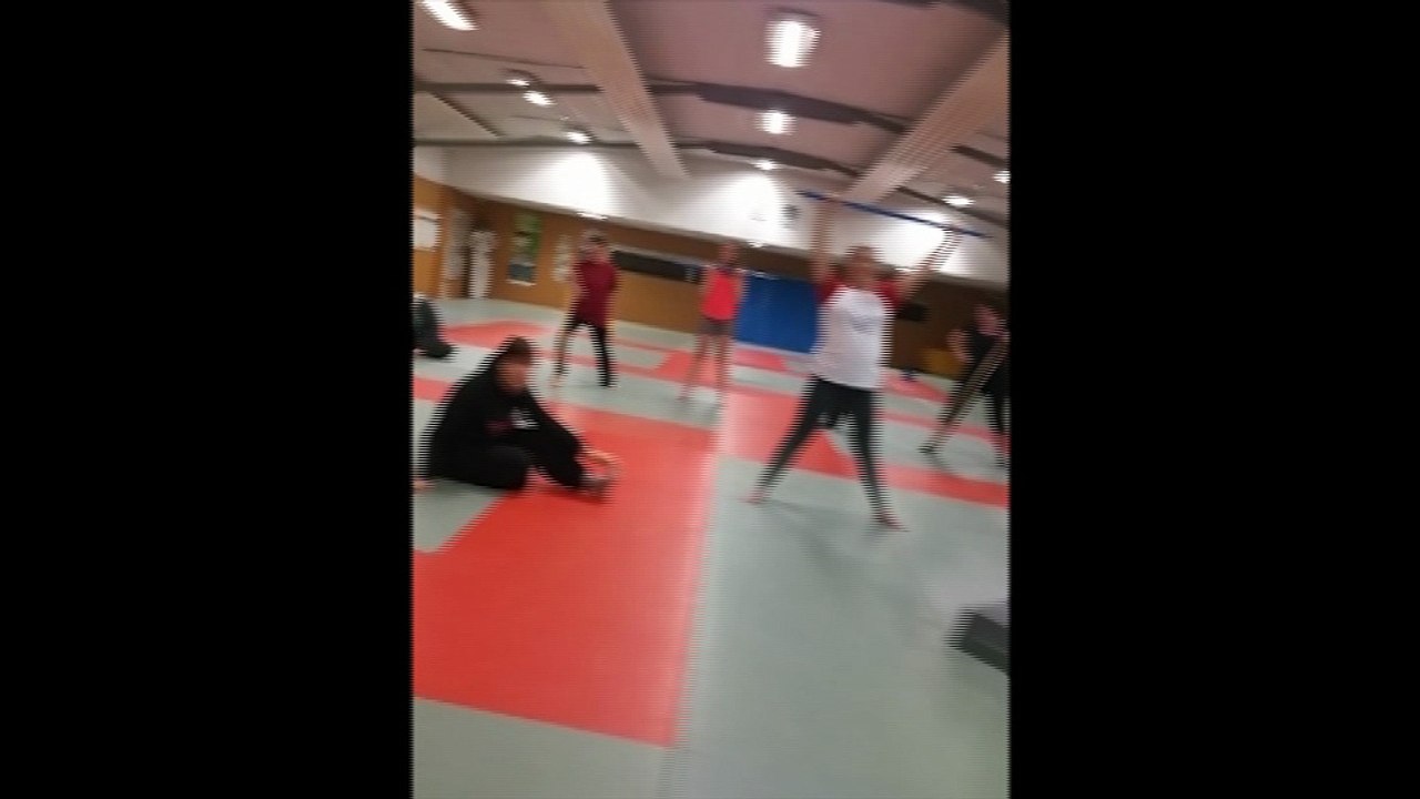 Mannequin challenge taiso et judo novembre 2016