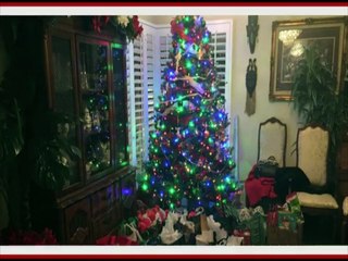 PREVIEW The Board Christmas Party:  "A 2016 Secret Garden"