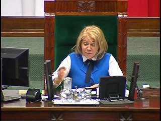 Poseł Dariusz Piontkowski - Wystąpienie z dnia 29 listopada 2016 roku.