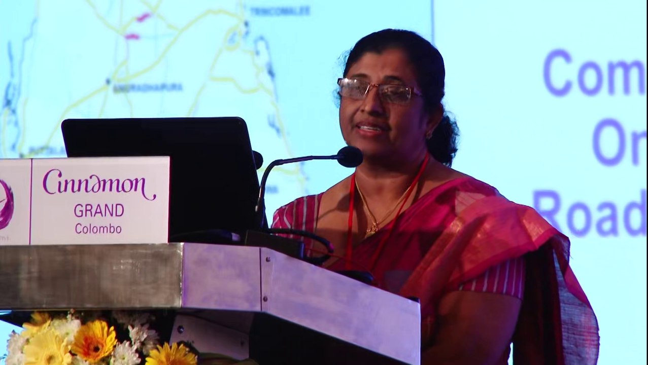 Highways Master Plan - Namalie Siyambalapitiya