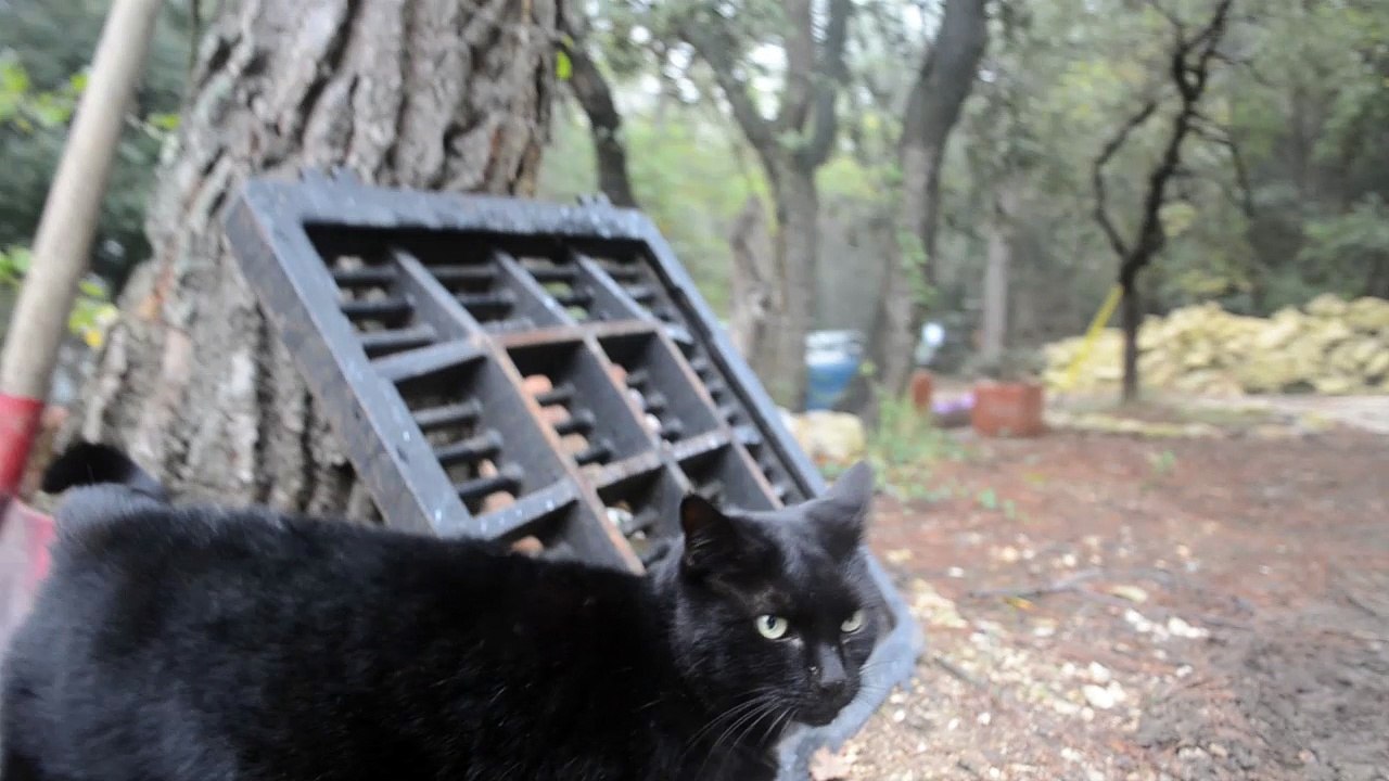 Je suis une merveilleuse rencontre