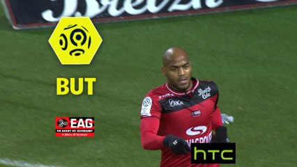 But Jimmy BRIAND (22ème) / EA Guingamp - FC Nantes - (2-0) - (EAG-FCN) / 2016-17
