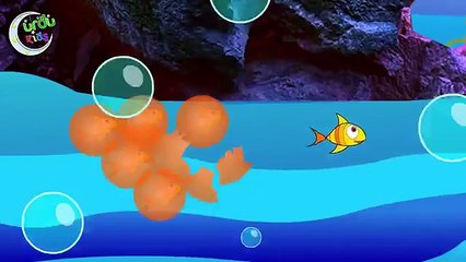 Machali ka bacha urdu poem for kids