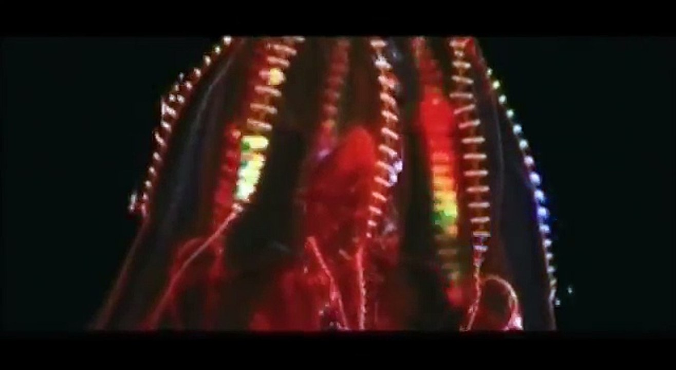 BBC Deep Sea Creatures Montage (Orbital - Funny Break) 16.9