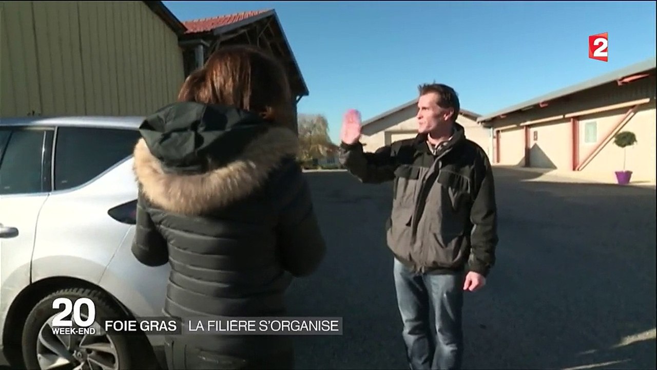 France : la grippe aviaire bouscule le marché du foie gras