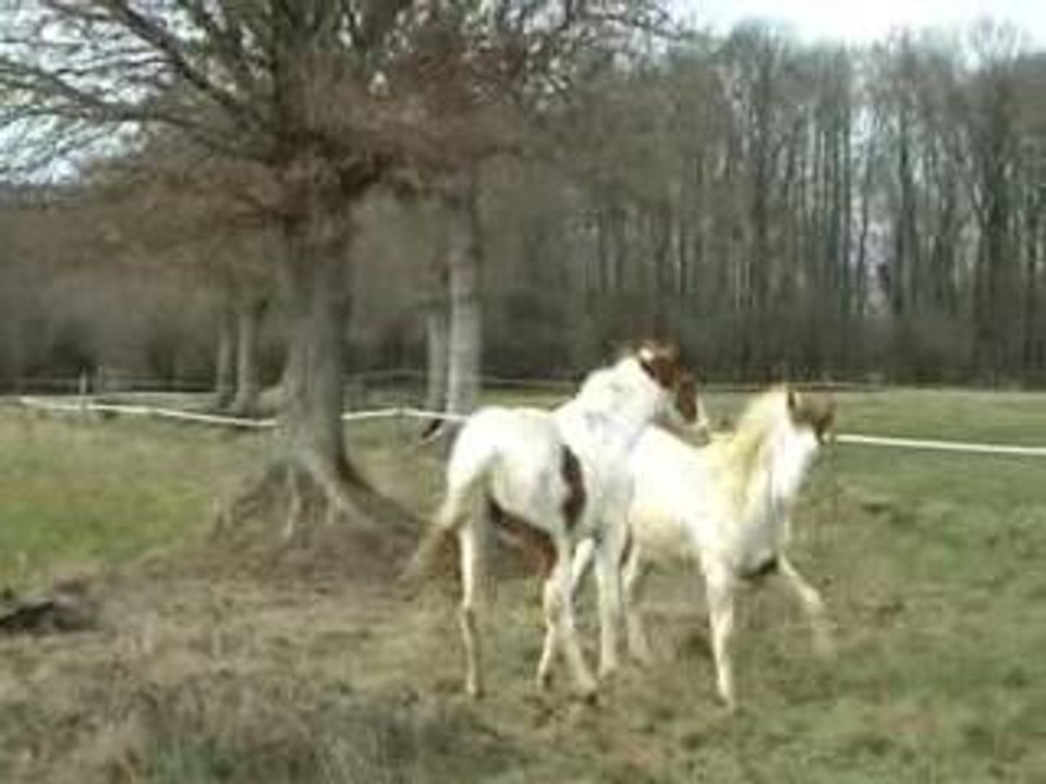 Red et Rap jouent janvier 2006