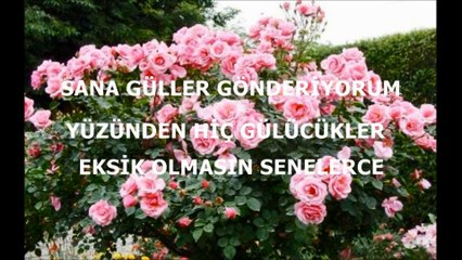 Beste Köprülüoğlu - Doğum Günün Kutlu Olsun