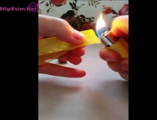 Kurdeleden Misket Oyası Çilek Oyası, Tomurcuk Gülü www bilgievim net