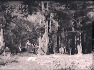 Hedayatullah  - هدايت الله - راشه راشه دلرُبا