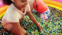 Crazy Messy Orbeez Pool Challenge In Our House Daddy Freaks Out Shopkins Toys
