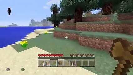 Playing Some Minecraft Survival