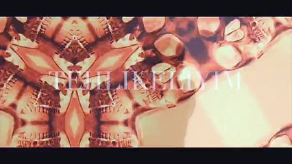Fatih Boğalar Feat. Ebru Keskin - Tehlikeliyim (Remix)