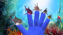 Sharks Cartoons AttacKing People And Singing Finger Family Nursery Rhymes For Children