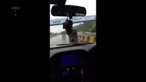 حمزہ شہباز کا مری سے اسلام آباد تک کے کافلے کی ریکارڈنگ Video Dailymotion