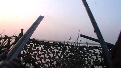 Duck hunting in Pakistan