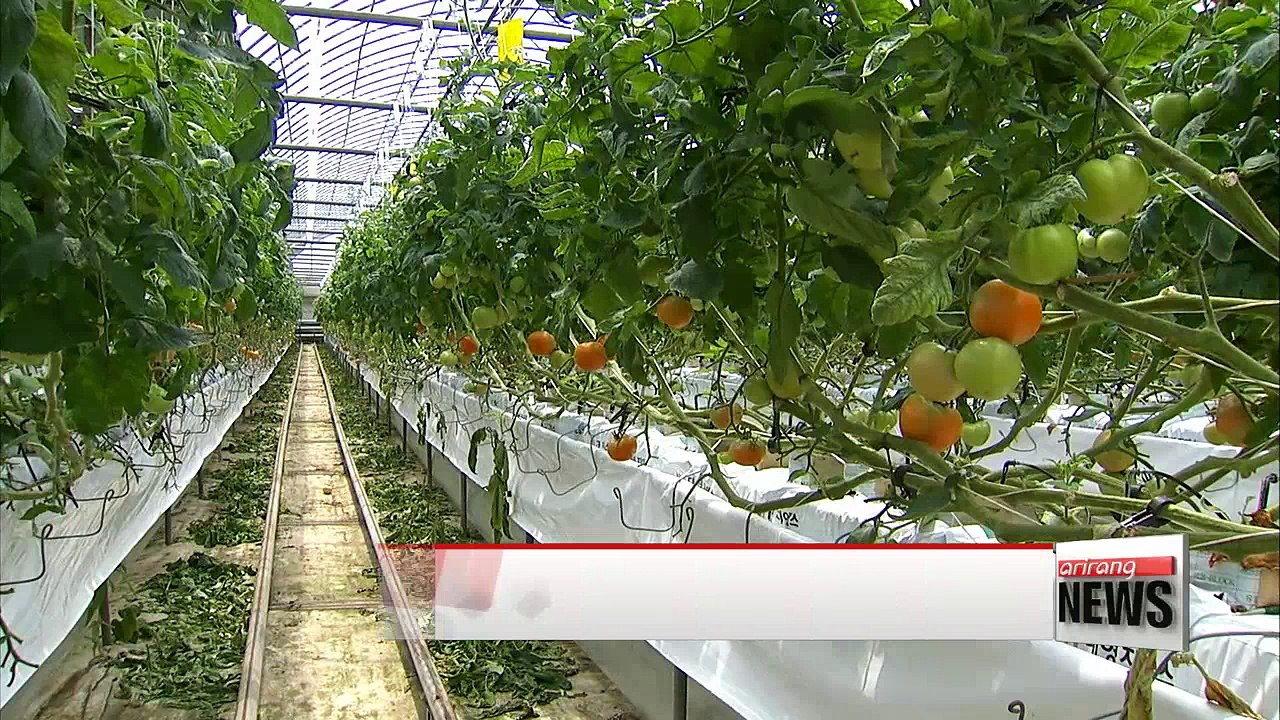 Music improves productiveness reduce pests of farm products