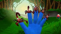 Crab Vs Scorpion Cartoon Fighting And Singing Finger Family Children Nursery Rhymes | Epic Battles