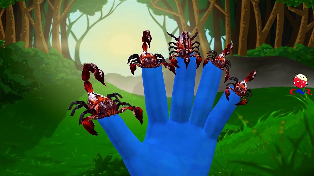 Crab Vs Scorpion Cartoon Fighting And Singing Finger Family Children Nursery Rhymes | Epic Battles
