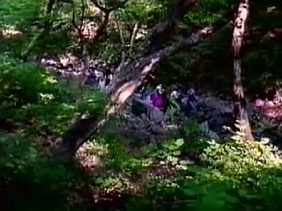 바카라필승전략だ／／ ＧＭ５５４。COM  ／／や여자비키니