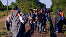 Europe's Migrant Crisis - Refugee vs. Economic Migrant