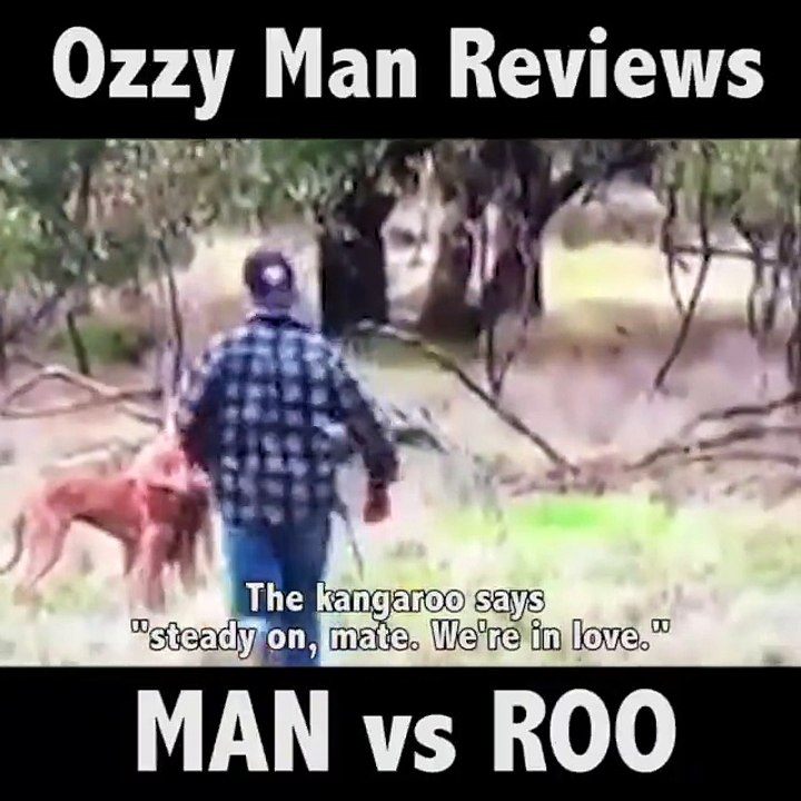 Me critical analysis of man vs roo. source video via ViralHog