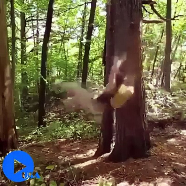 Funny fail