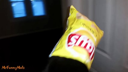 Compilation de chats qui se coincent la tête dans des verres, sacs, bols..