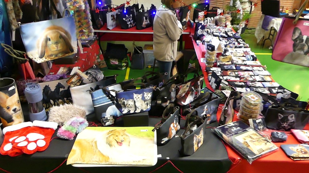 Vue Générale du Marché de Noel d'IWUY