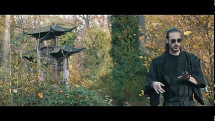 Django - Oiseaux