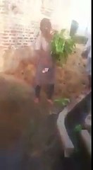kuri nu bann ke kuteya
