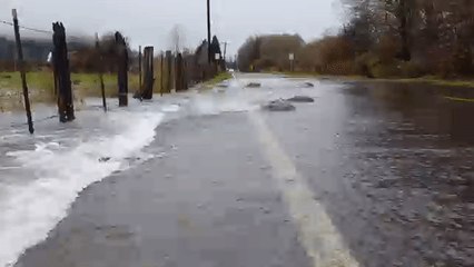 Salmon Cross Flooded Road in Washington State