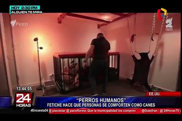 Fetichismo: conoce a la extraña comunidad que decidió vivir como perros