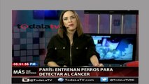 Entrenan perros para detectar cáncer - Más que noticias - Video