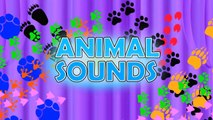 Learning Animal Sounds and Names for Kids & Toddlers. ABC 123 Playhouse